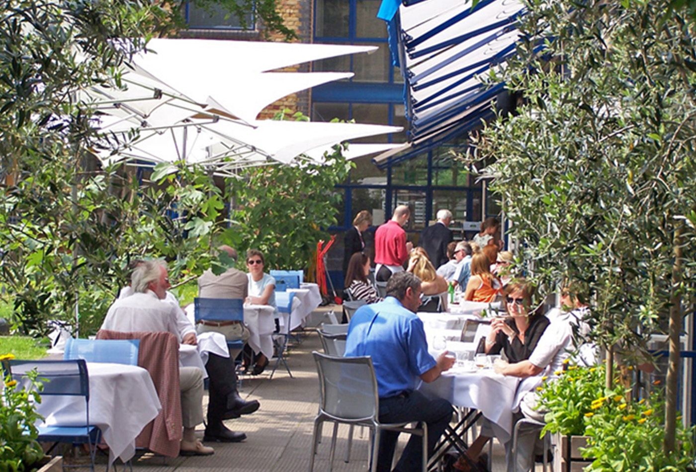 Outdoor terrace with tall green plants and blue seating