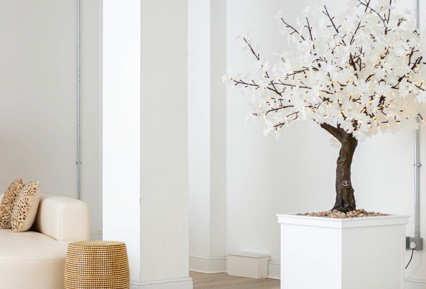 White wall, white pillar, white tree, white sofa