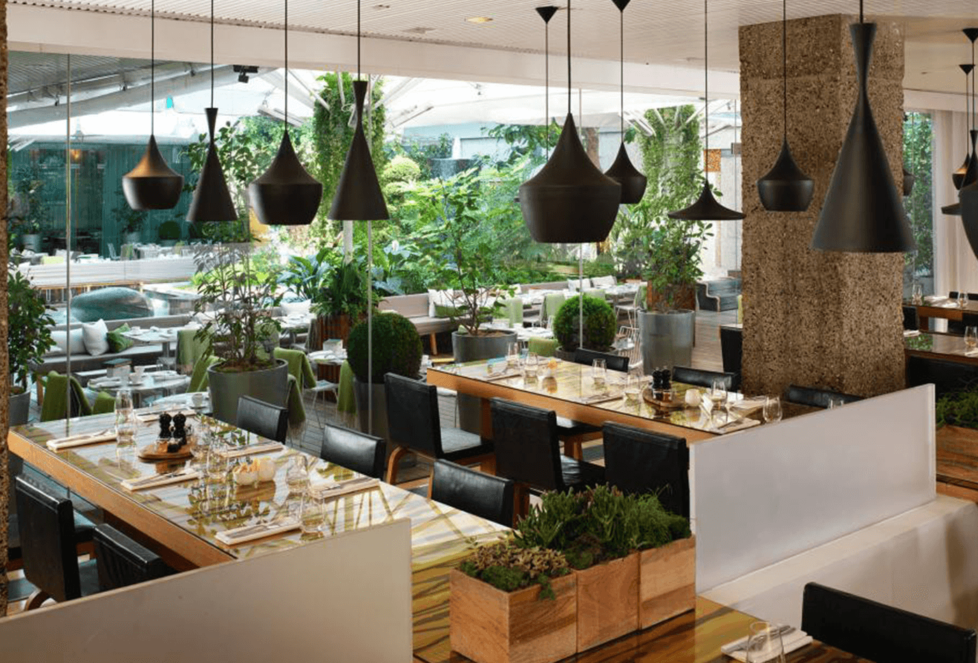 Modern dining area with lots of greenery