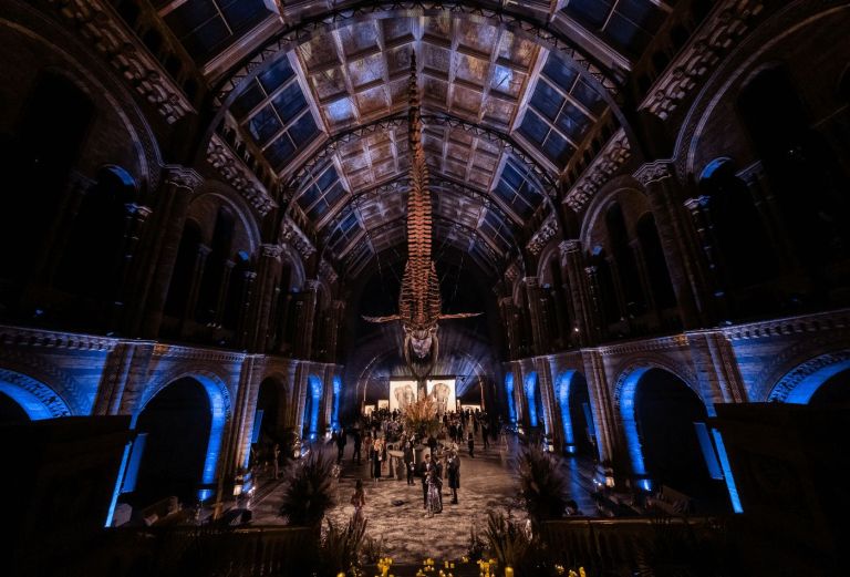Venues of London | Natural History Museum